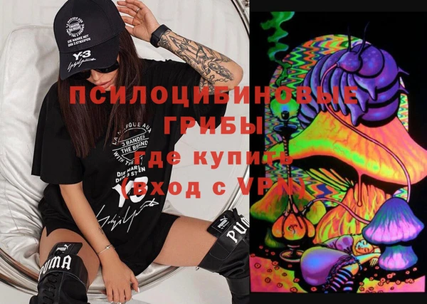 винт Абаза