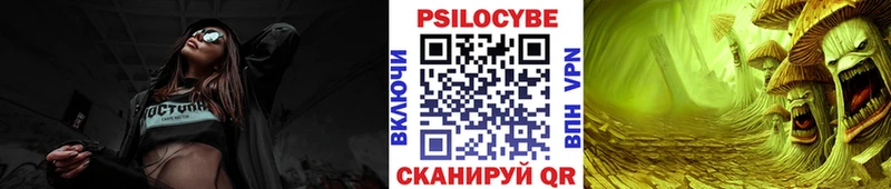 OMG маркетплейс Северская Псилоцибиновые грибы мицелий